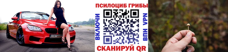 omg как войти  наркошоп  Советская Гавань  Галлюциногенные грибы MAGIC MUSHROOMS 