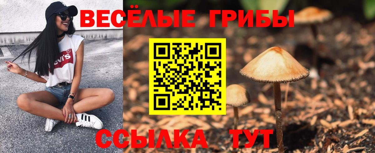 Галлюциногенные грибы мицелий Советская Гавань
